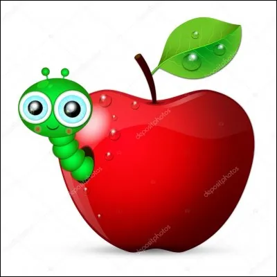 Où est mon second pour que mon tout devienne racaille ?