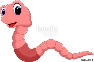 Mon premier est donc un ver. Quel est mon second pour que mon tout se mette au fourneau ! ?