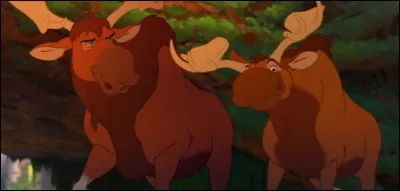 Pourquoi Truc et Much veulent faire la route avec les ours ?