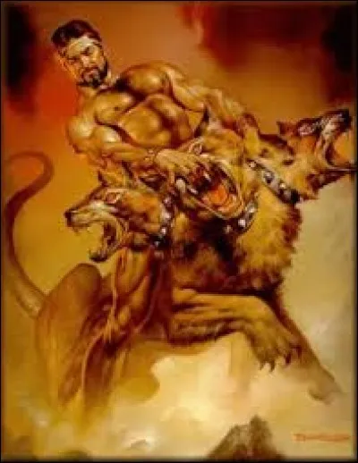 Ta couleur préférée est :