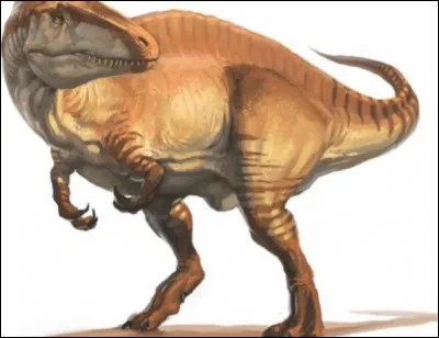 Où ont été exhumés les premiers spécimens d'acrocanthosaurus ?