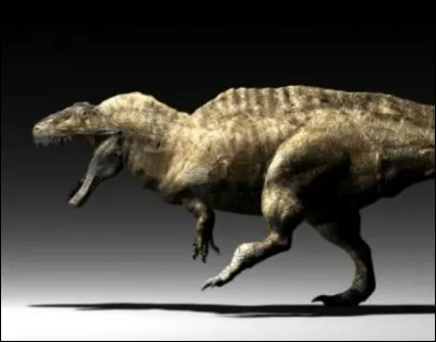 Où vivait l'acrocanthosaurus ?