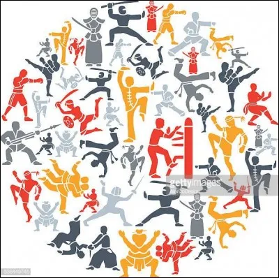 Quel sport de combat comporte 12 grades ?