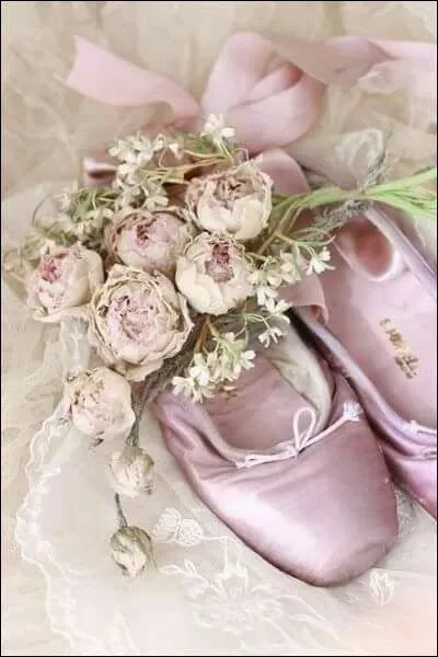 Qui a composé "La Mort du cygne" ?