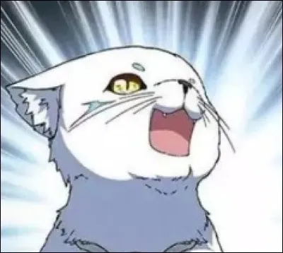 Le rubis du chat des neiges de Xiao Yun est de couleur_____