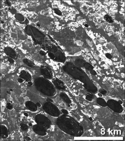 Prs des ctes Atlantiques, on trouve un site appel 'Carolina Bays', qui est constell de plus de 500 000 dpressions comme on peut le voir ci-dessous. Comment explique-t-on ce phnomne ?