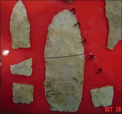 En 1998, A. Goodyear a trouv des outils qui dateraient de plus de 50 000 ans, remettant en question les connaissances sur les dplacements de population autour du monde. O tait-ce ?