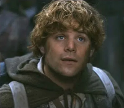 Espèce : Hobbit
Famille : Fils de Hamfast 
Description : Petit, grands pieds, cheveux bouclés 
À savoir : Il devient maire de la Comté pendant le quatrième âge 
Quel est ce personnage ?
