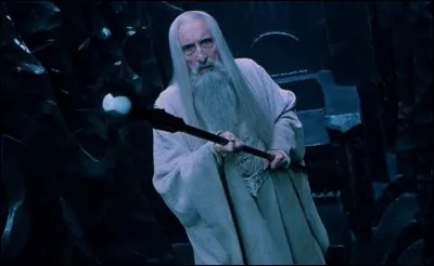 Espèce : Maiar
Famille : Chef des Istari
Description : Barbe et cheveux blancs, yeux noirs et profonds 
À savoir : C'est le chef du conseil blanc 
Quel est ce personnage ?