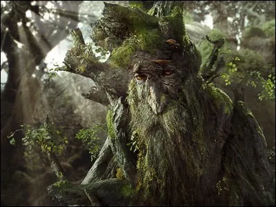 Espèce : Ents
Famille : Ami de Gandalf 
Description : Très grand, robuste et de couleur gris-vert
À savoir : Il serait l'être le plus âgé de la Terre du Milieu 
Quel est ce personnage ?