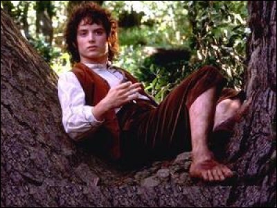 Espèce : Hobbit 
Famille : Fils de Drogo et de Primula 
Description : Petit, grands pieds et brun 
À savoir : A 33 ans lorsque toute l'histoire commence 
Quel est ce personnage ?