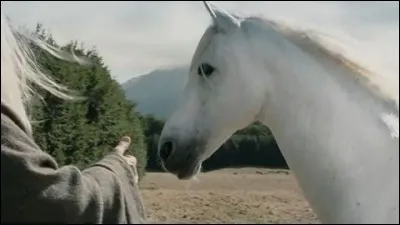 Espèce : Animaux 
Famille : Descendant de Felaróf
Description : Couleur grise ou argentée 
À savoir : Il comprend le langage humain 
Quel est ce personnage ?