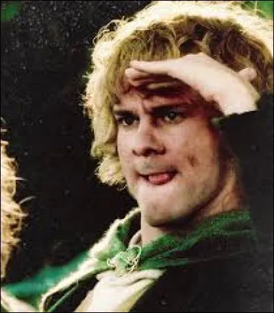 Espèce : Hobbit 
Famille : Mari d'Estelle Bolgeurre
Description : Petit, grands pieds, cheveux bouclés 
À savoir : Il est passionné par les cartes et les livres
Quel est ce personnage ?