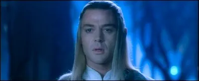 Espèce : Teleri
Famille : Époux de Galadriel
Description : Très grand, cheveux argentés et yeux pénétrants 
À savoir : Son nom signifie "arbre d'argent" 
Quel est ce personnage ?