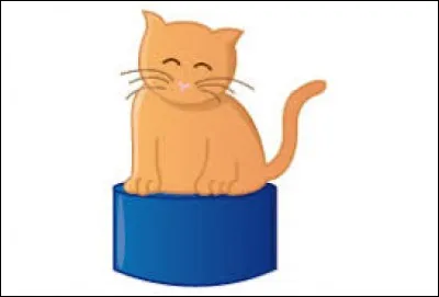 Quel est le nom du jeu de plein air populaire auprès des enfants ?