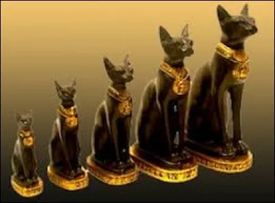 De quel pays le chat domestique serait-il originaire ?