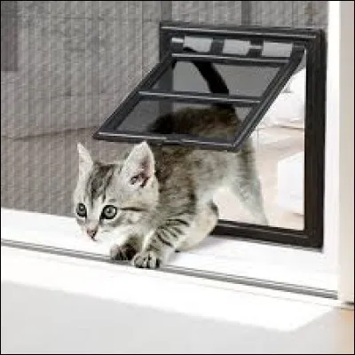 Comment s'appelle l'ouverture qui permet au chat de sortir de la maison ?