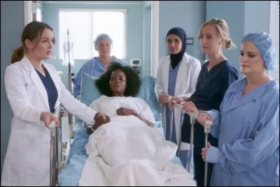 Première diffusion : 2005
Nombre de saisons : 15 
Personnages : Burke, April, Jo, Denny 
Genre : Hospitalier 
Quelle est cette série ?