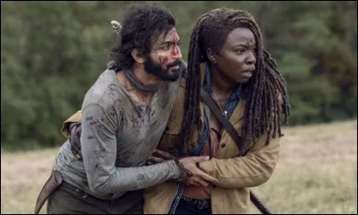 Première diffusion : 2010
Nombre de saisons : 9
Personnages : Negan, Rosita, Hershel, Morgan 
Genre : Horreur 
Quelle est cette série ?