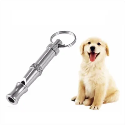 L'échographie est un examen...