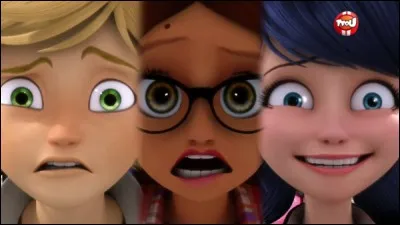 Quel métier veut faire Marinette ?