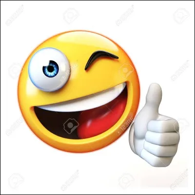 Ta plus grande qualité :