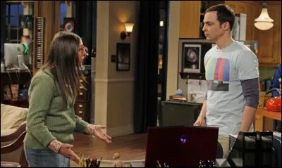 Première diffusion : 2007
Dernière diffusion : 2019
Personnages : Barry, Leslie, Bernadette, Missy.
Genre : Sitcom
Quelle est cette série ?