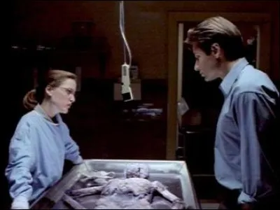 Première diffusion : 1993/2016
Dernière diffusion : 2002/2018
Personnages : Walter, Alex, Monica, Melvin. 
Genre : Horreur/Science-fiction/Fantastique 
Quelle est cette série ?