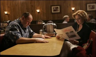 Première diffusion : 1999
Dernière diffusion : 2007
Personnages : Adriana, Carmela, Phil, Artie. 
Genre : Dramatique 
Quelle est cette série ?