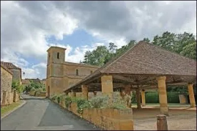 Je vous propose de partir en Nouvelle-Aquitaine à la découverte de Montferrand-du-Périgord. Nous serons dans le département ...