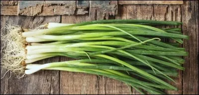 Elles, ou eux, ont interprété "Green Onions" !