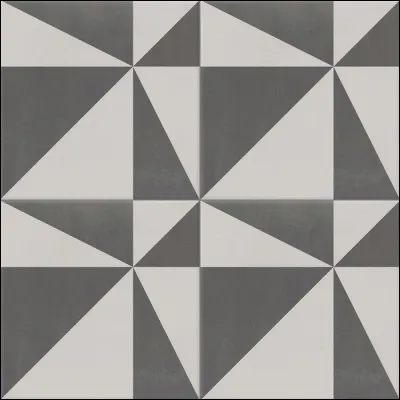 Qui a chanté "Entre Gris Clair et Gris Foncé" ?