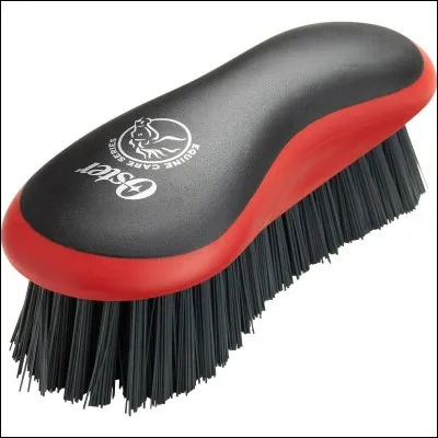 Comment s'appelle cette brosse ?