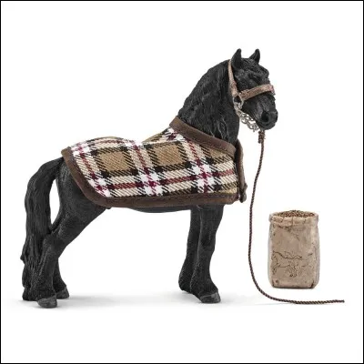 Quelle est cette race ?