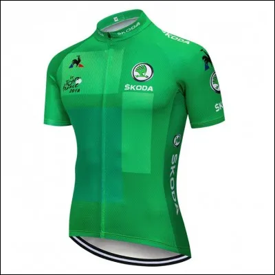 Qui a remporté le maillot vert à l'issue de ce Tour de France 2019 ?