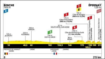 Qui fut le vainqueur de la troisième étape du Tour de France 2019 avec en plus le maillot jaune ?