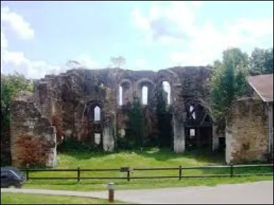 Je vous propose de partir dans le Grand-Est, à la découverte des ruines du château de Mousson. Commune du canton de Pont-à-Mousson, elle se situe dans le département ...