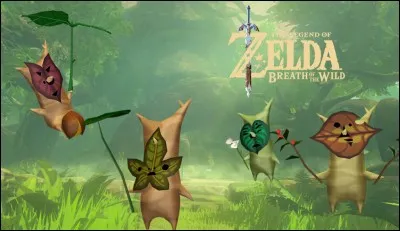 À qui doit-on donner nos noix korogus ?