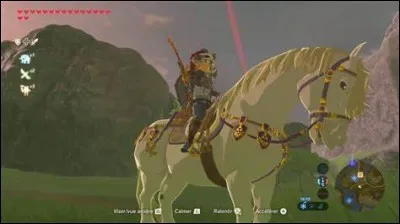 Où trouver le cheval blanc ?