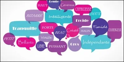 Choisissez un adjectif pour vous décrire :