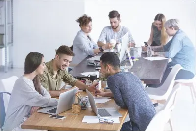 Quand vous travaillez en équipe, quel est votre rôle ?