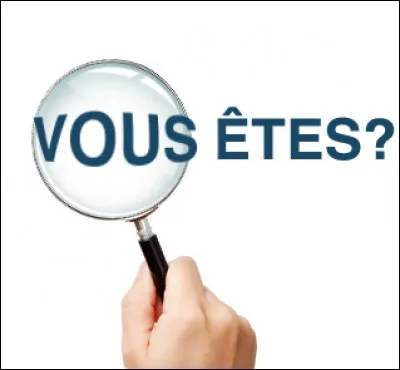 Vous êtes :