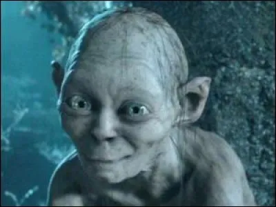 "Maître, je ne suis pas méchant. Seul le précieux m'intéressait, à vous et à Sam je ne veux aucun mal. Il est parti, maintenant Sméagold est libre !"
Comment est appelé ce personnage ?