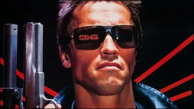 "Sarah Connor, je cherche Sarah Connor !"
Qui, Arnold Schwarzenegger joue-t-il dans ce film ?