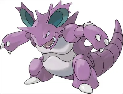 De quel(s) type(s) est Nidoking ?