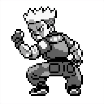 Le Major Bob est le champion de la troisième arène. De quel type sont ses Pokémon ?