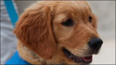 Quel est le titre exact de ce roman d'Arthur Conan Doyle ?