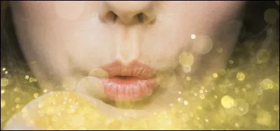 Pour se rendre au Chemin de Traverse, Harry Potter utilise une poudre qui le transporte...