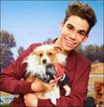 Comment s'appelle sa chienne ?