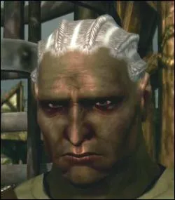 Comment s'appelle ce personnage drans 'Dragon Age : Origins' ?